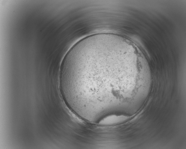 X0000063471244200602031851