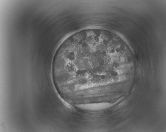 X0000063471245200602031851