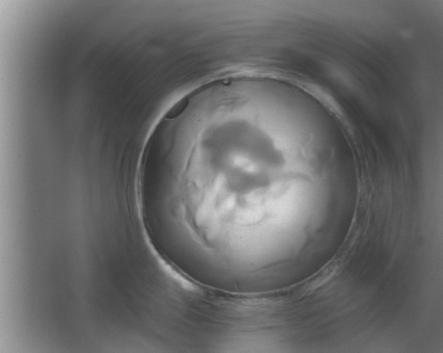 X0000063471247200602031851