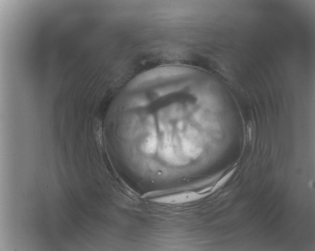 X0000063471251200602031851