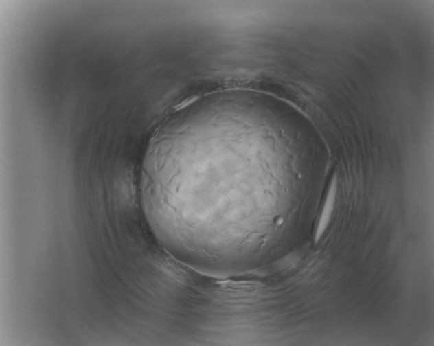 X0000063471252200602031851