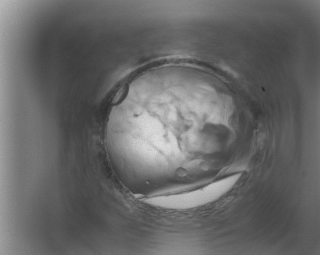 X0000063471255200602031851