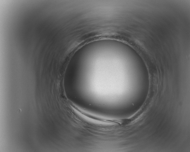 X0000063471257200602031850