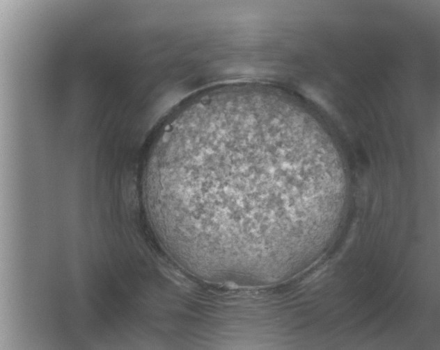 X0000063471259200602031850