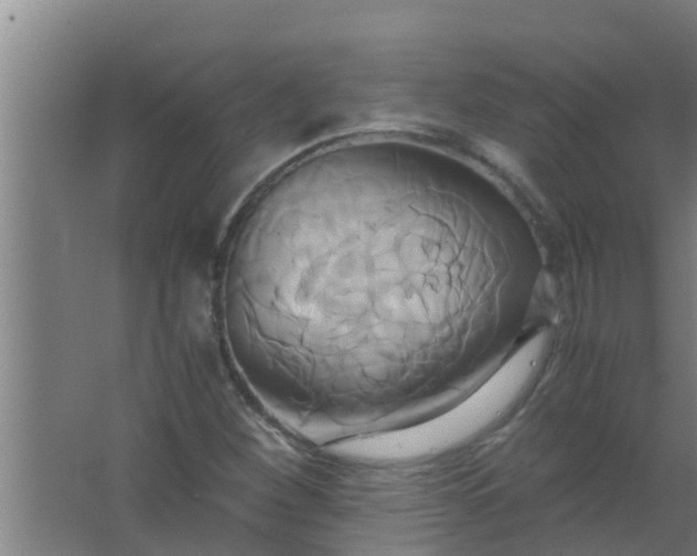 X0000063471260200602031850