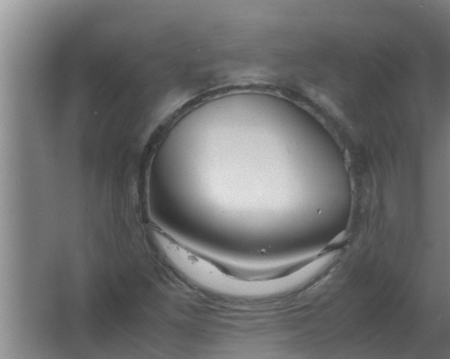 X0000063471261200602031850