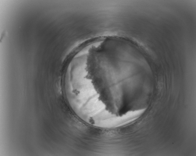 X0000063471262200602031850