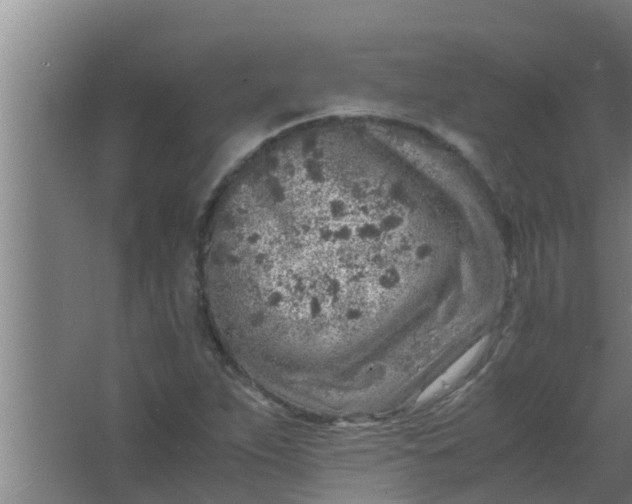 X0000063471263200602031850