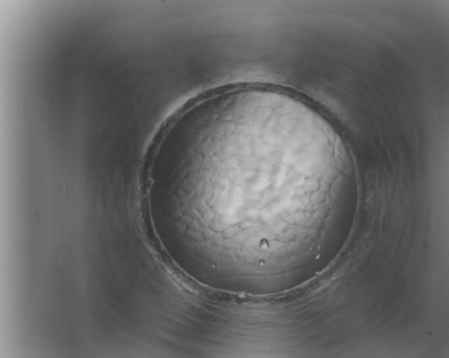 X0000063471264200602031850