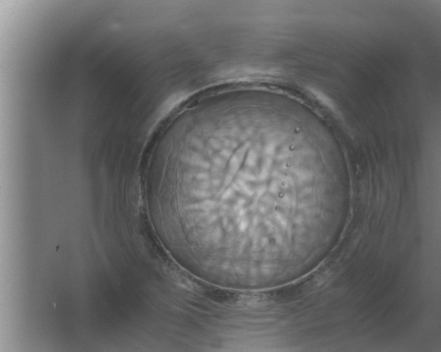 X0000063471267200602031850