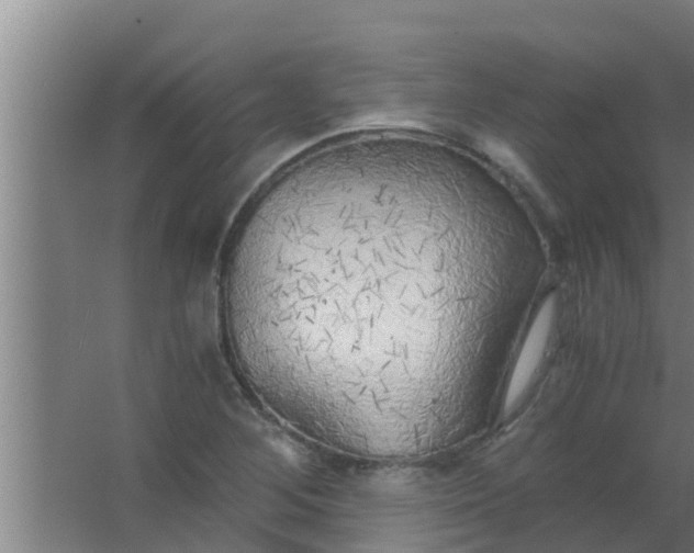 X0000063471268200602031850