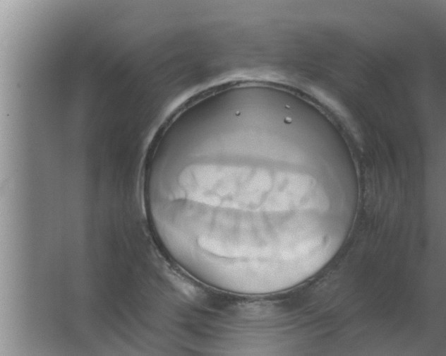 X0000063471272200602031850