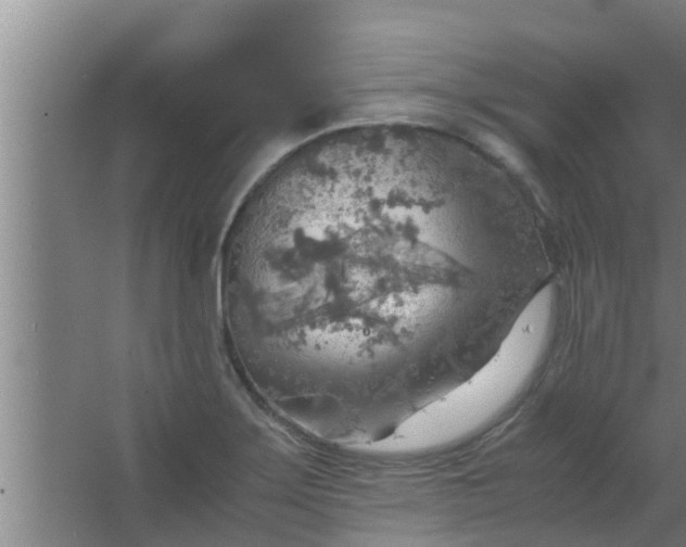 X0000063471275200602031850