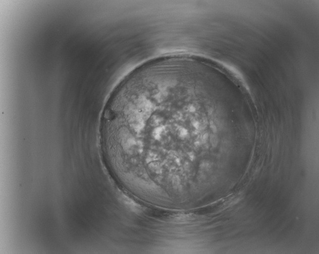 X0000063471279200602031850