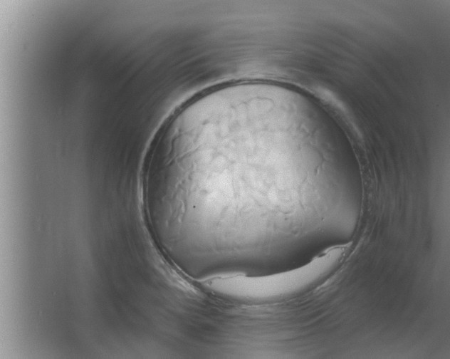 X0000063471280200602031850