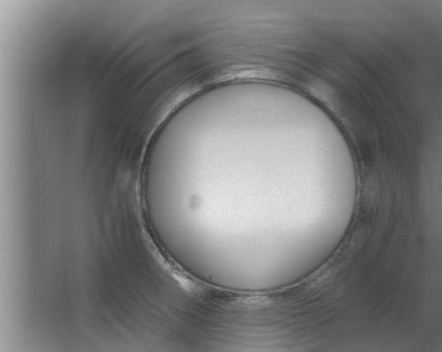 X0000063471282200602031850