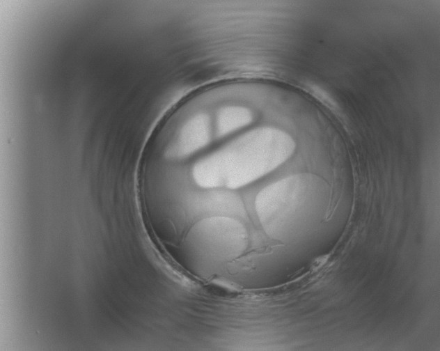 X0000063471283200602031850