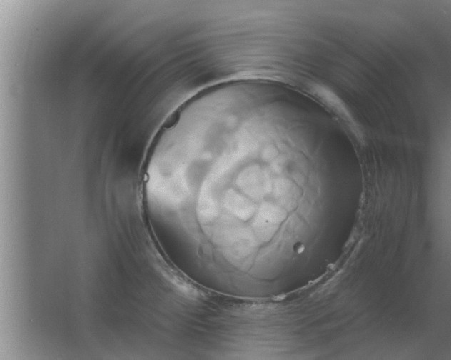 X0000063471284200602031850