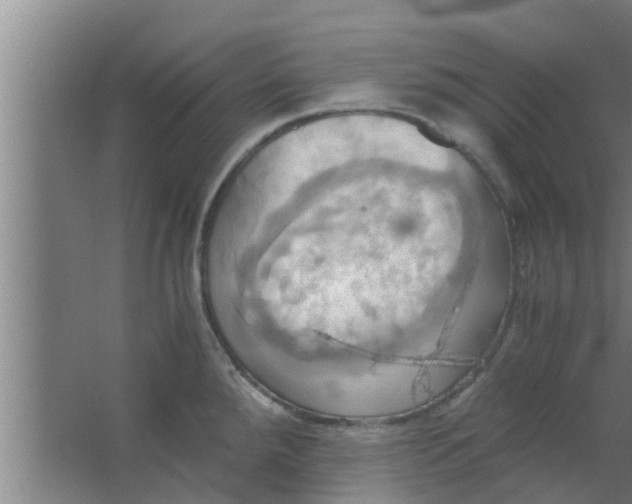 X0000063471288200602031850