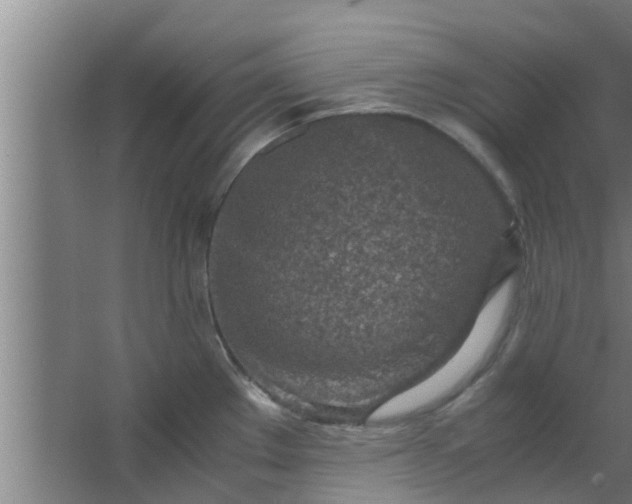 X0000063471289200602031850