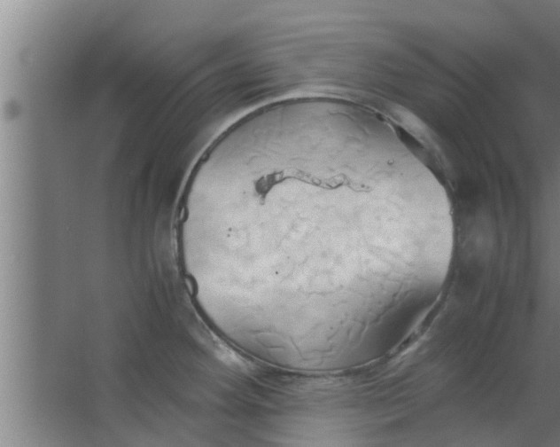 X0000063471292200602031850