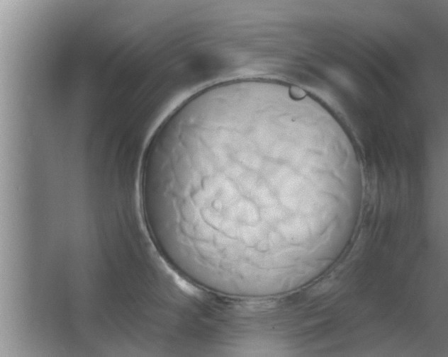 X0000063471294200602031850