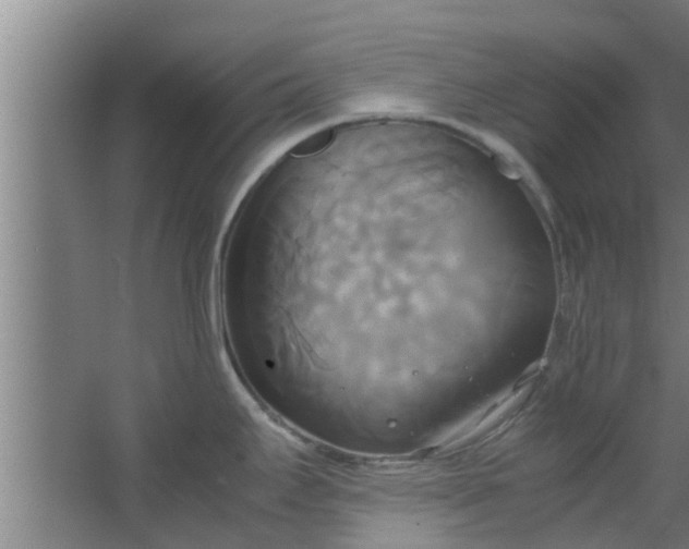 X0000063471295200602031850