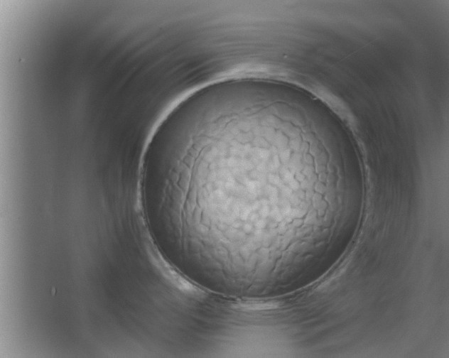 X0000063471296200602031850