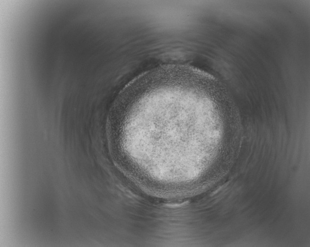 X0000063471297200602031849