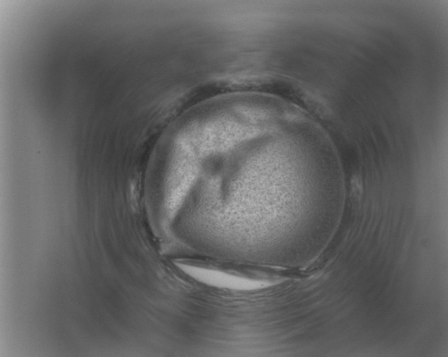 X0000063471300200602031849