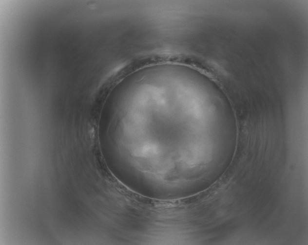 X0000063471302200602031849