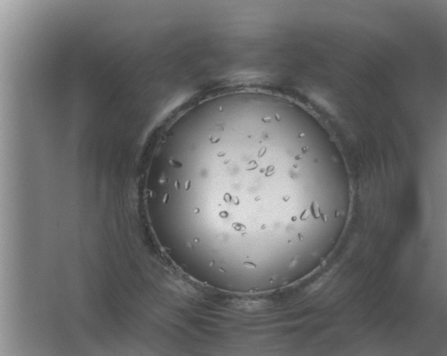 X0000063471309200602031849