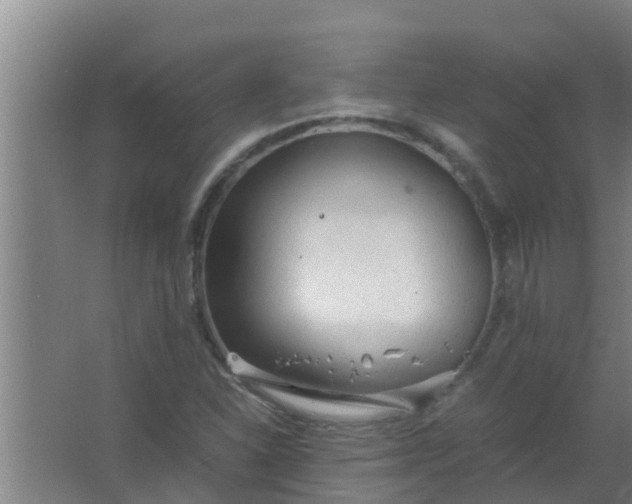 X0000063471310200602031849