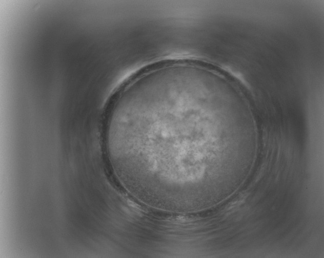 X0000063471311200602031849