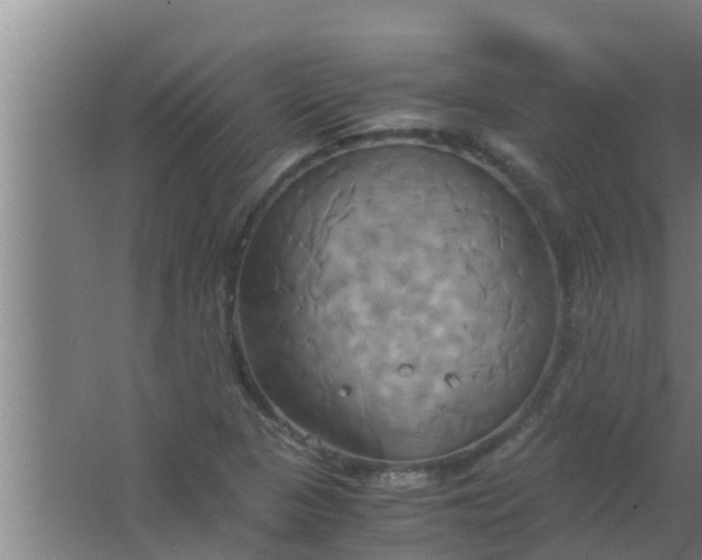 X0000063471313200602031849