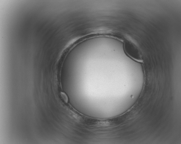 X0000063471315200602031849