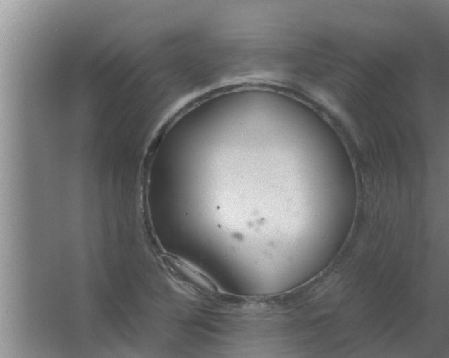 X0000063471316200602031849