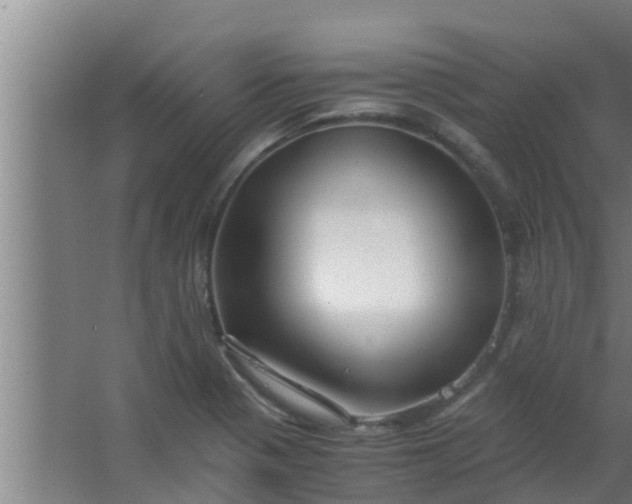 X0000063471321200602031849