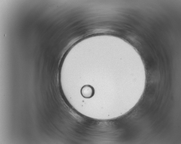 X0000063471322200602031849