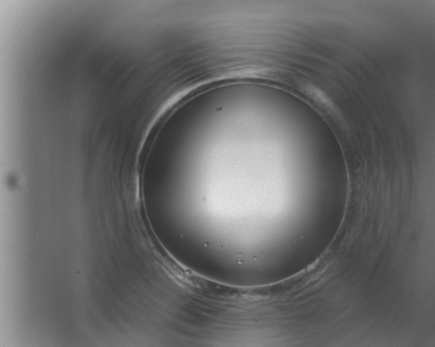 X0000063471324200602031849