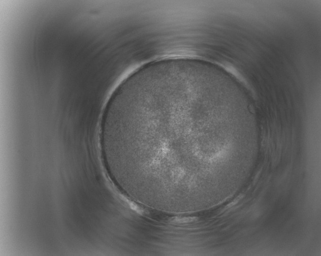 X0000063471325200602031849