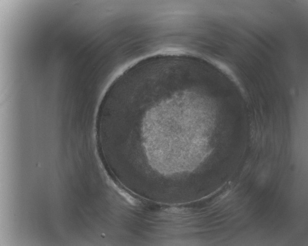 X0000063471327200602031850