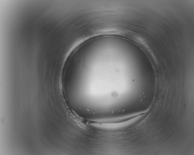 X0000063471328200602031850