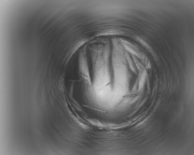 X0000063471329200602031850