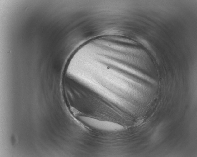 X0000063471331200602031850