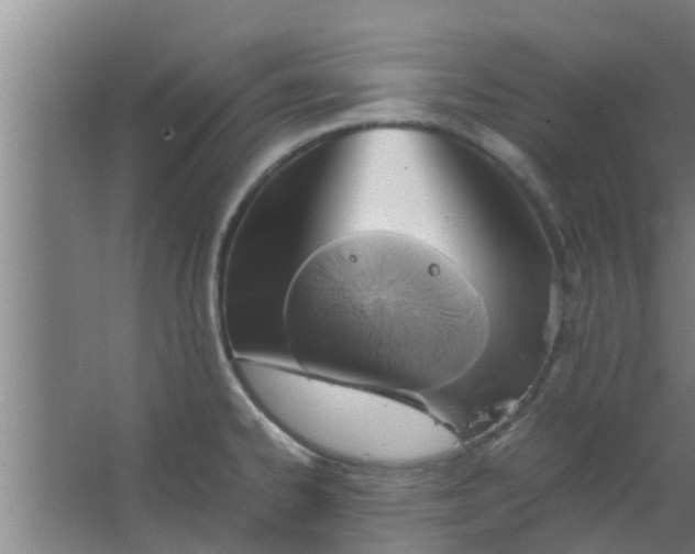 X0000063471334200602031850