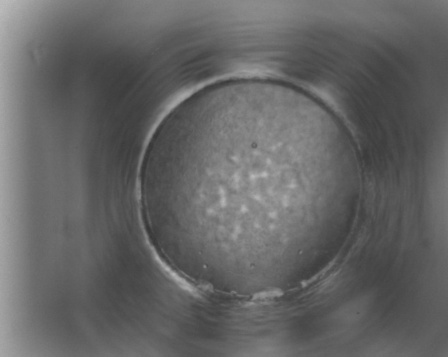 X0000063471335200602031850