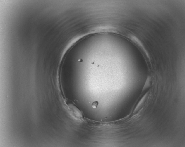 X0000063471336200602031850