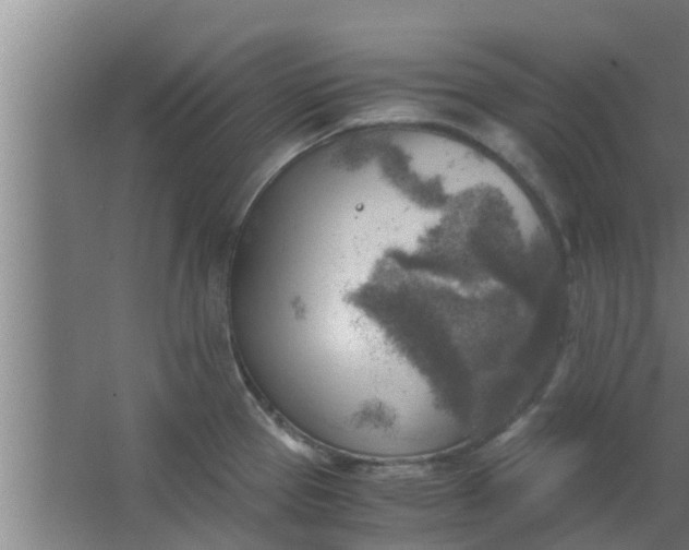 X0000063471337200602031850