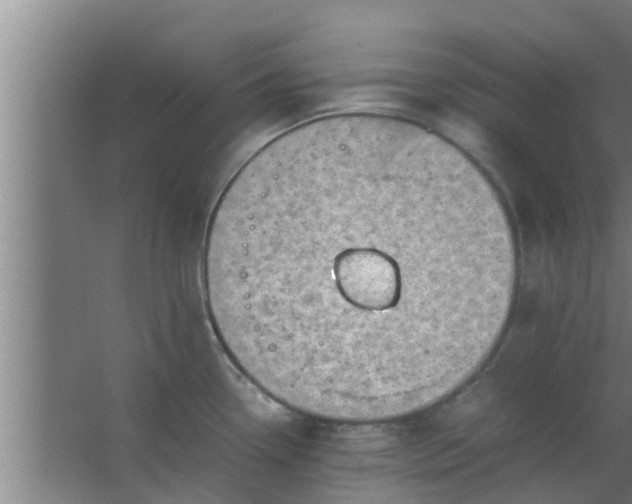 X0000063471338200602031850